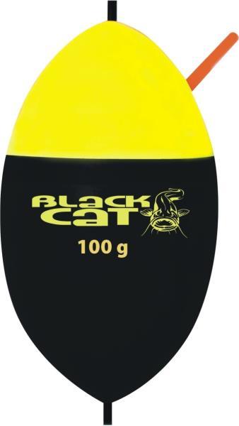 Black Cat - img17049572208333.jpeg